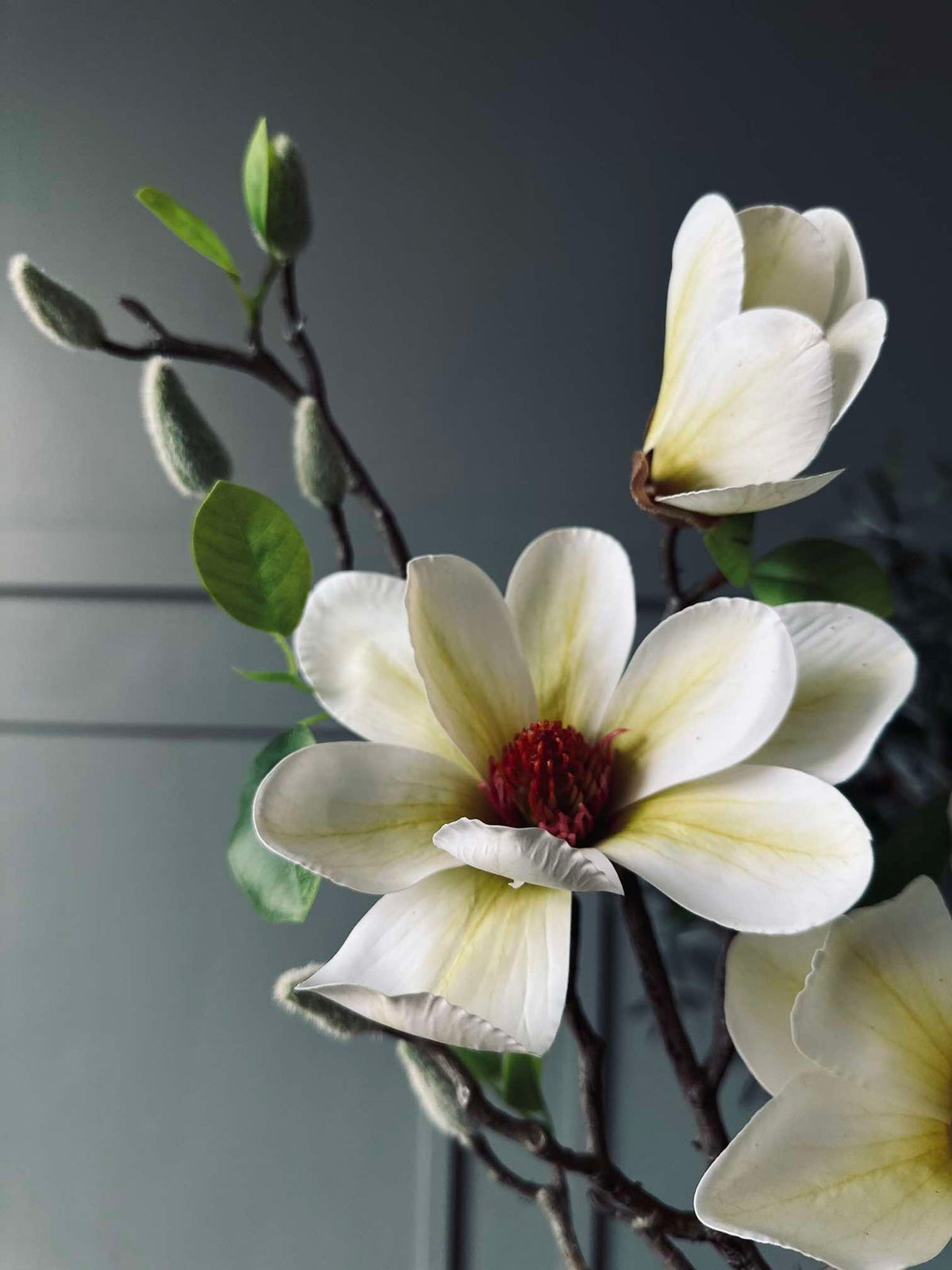Fleur Magnolia - Blanc