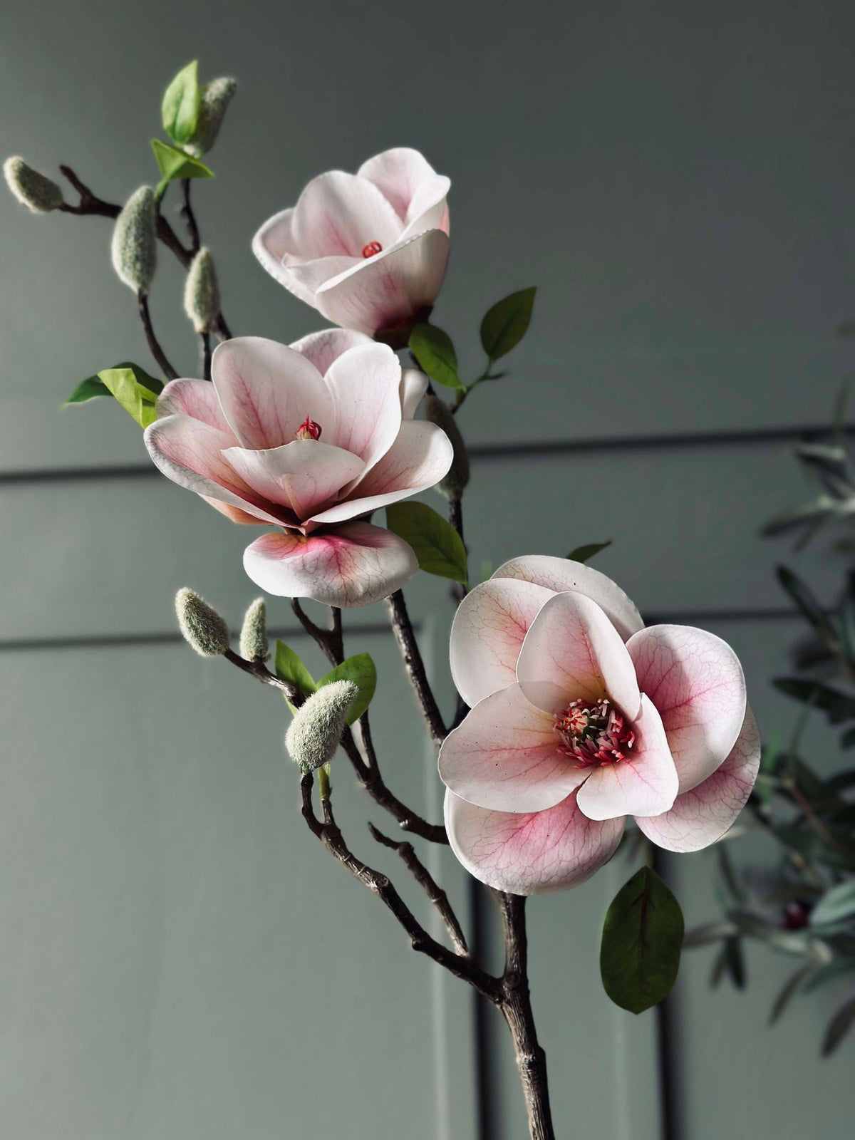 Fleur Magnolia - Rose