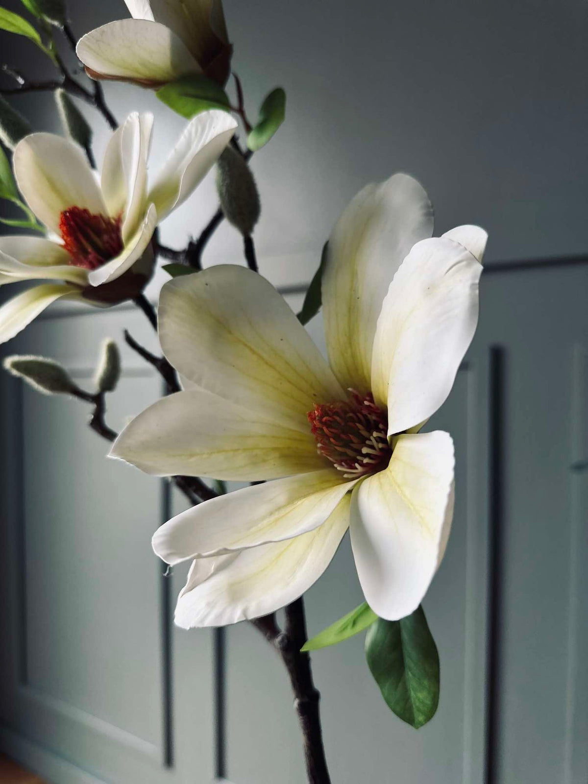 Fleur Magnolia - Blanc