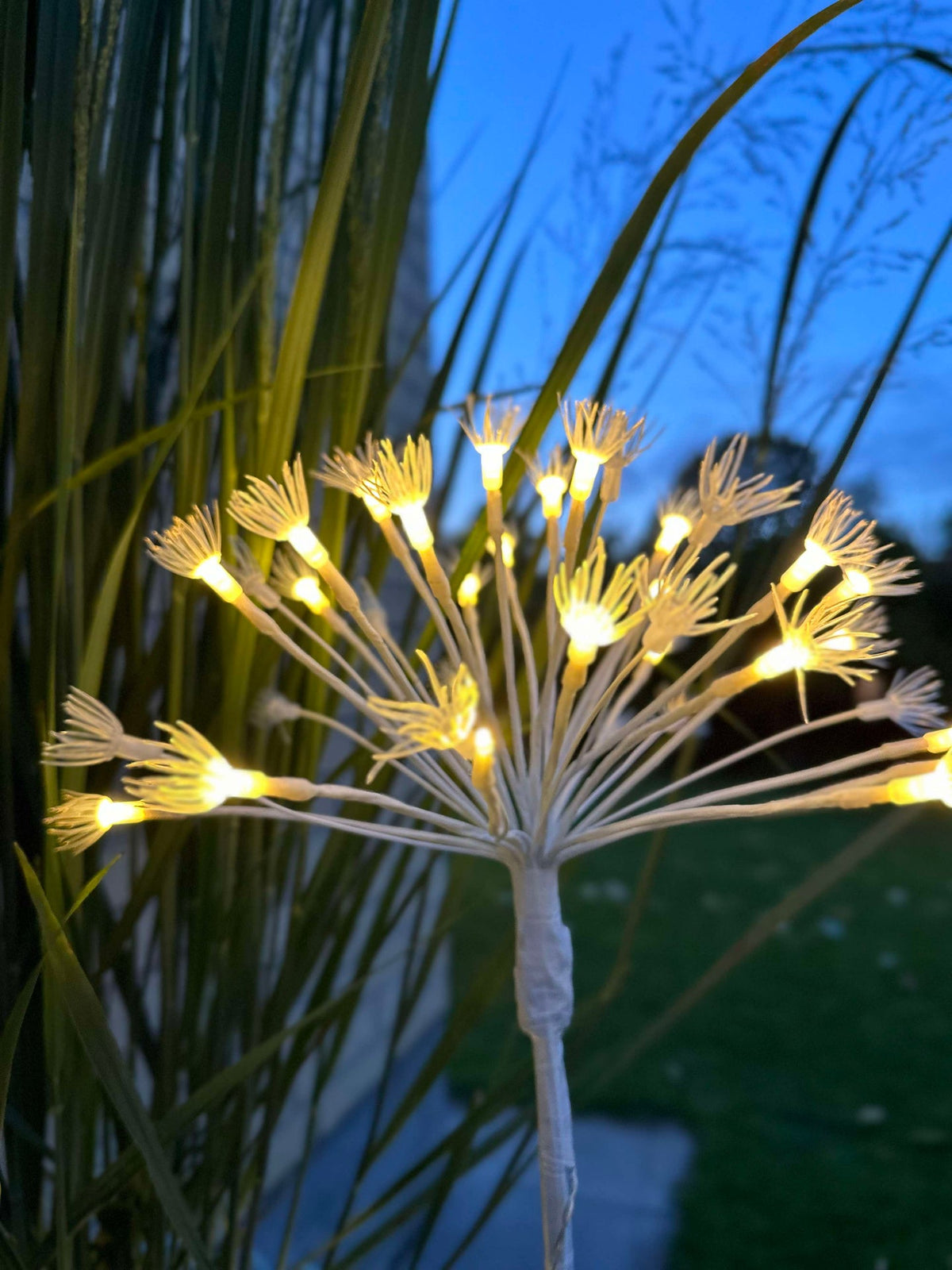 Étoiles LED sur pique