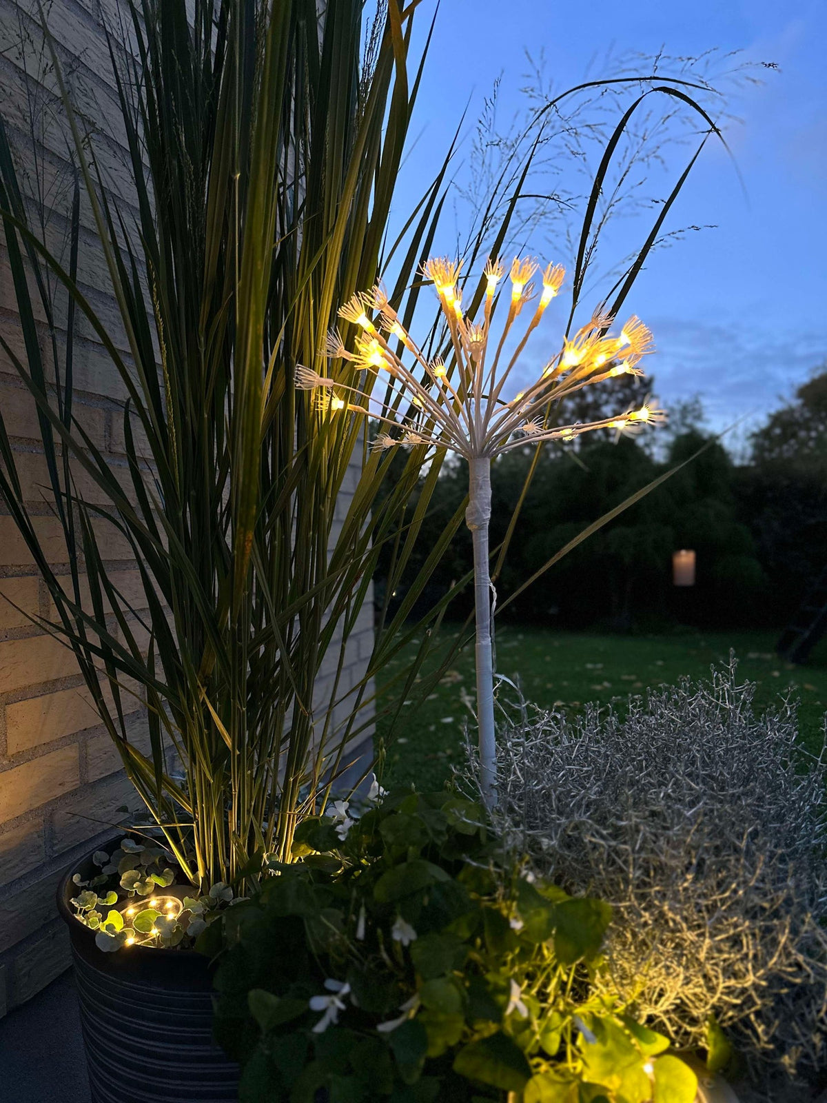 Étoiles LED sur pique