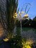 Étoiles LED sur pique