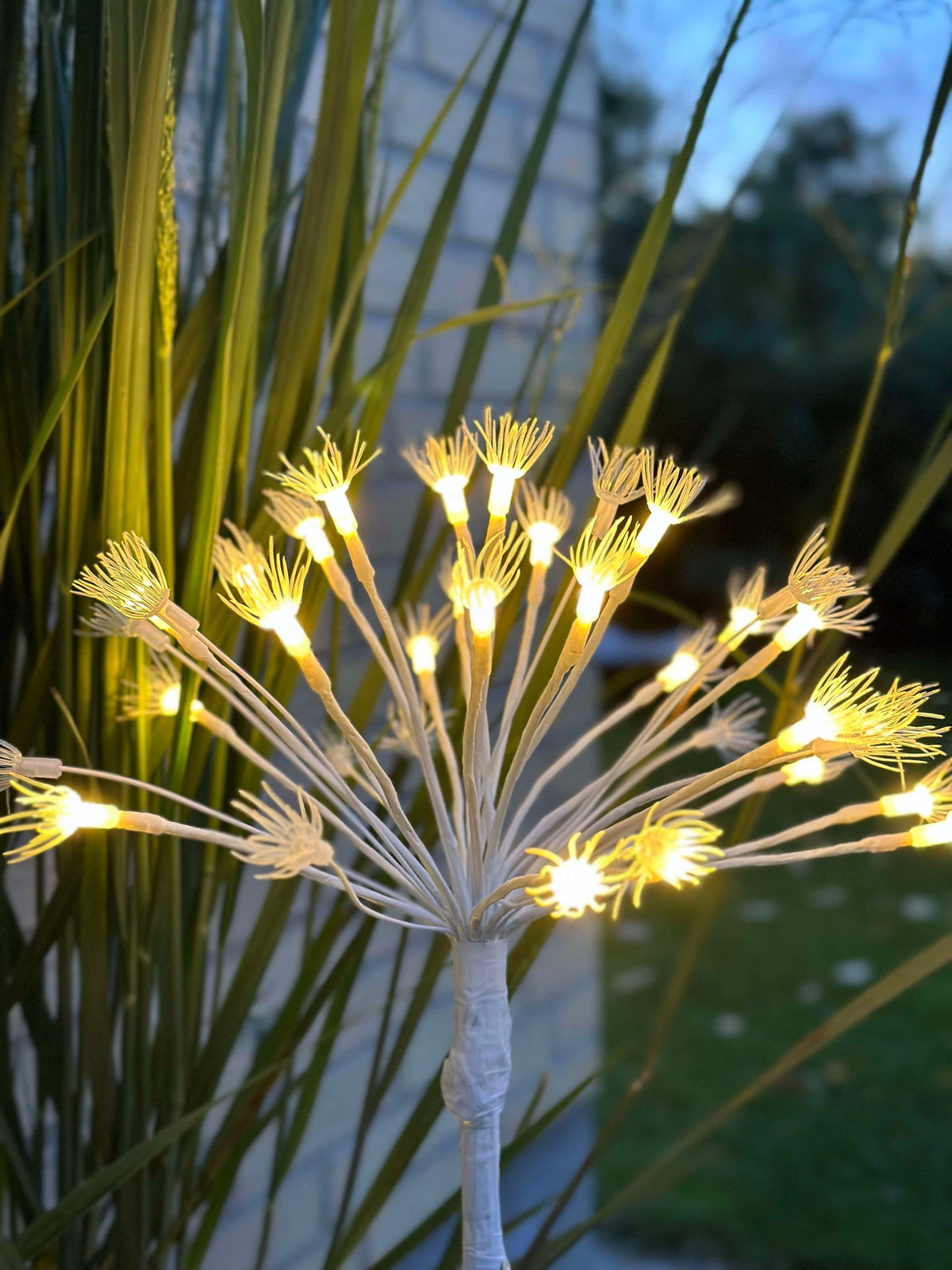 Étoiles LED sur pique