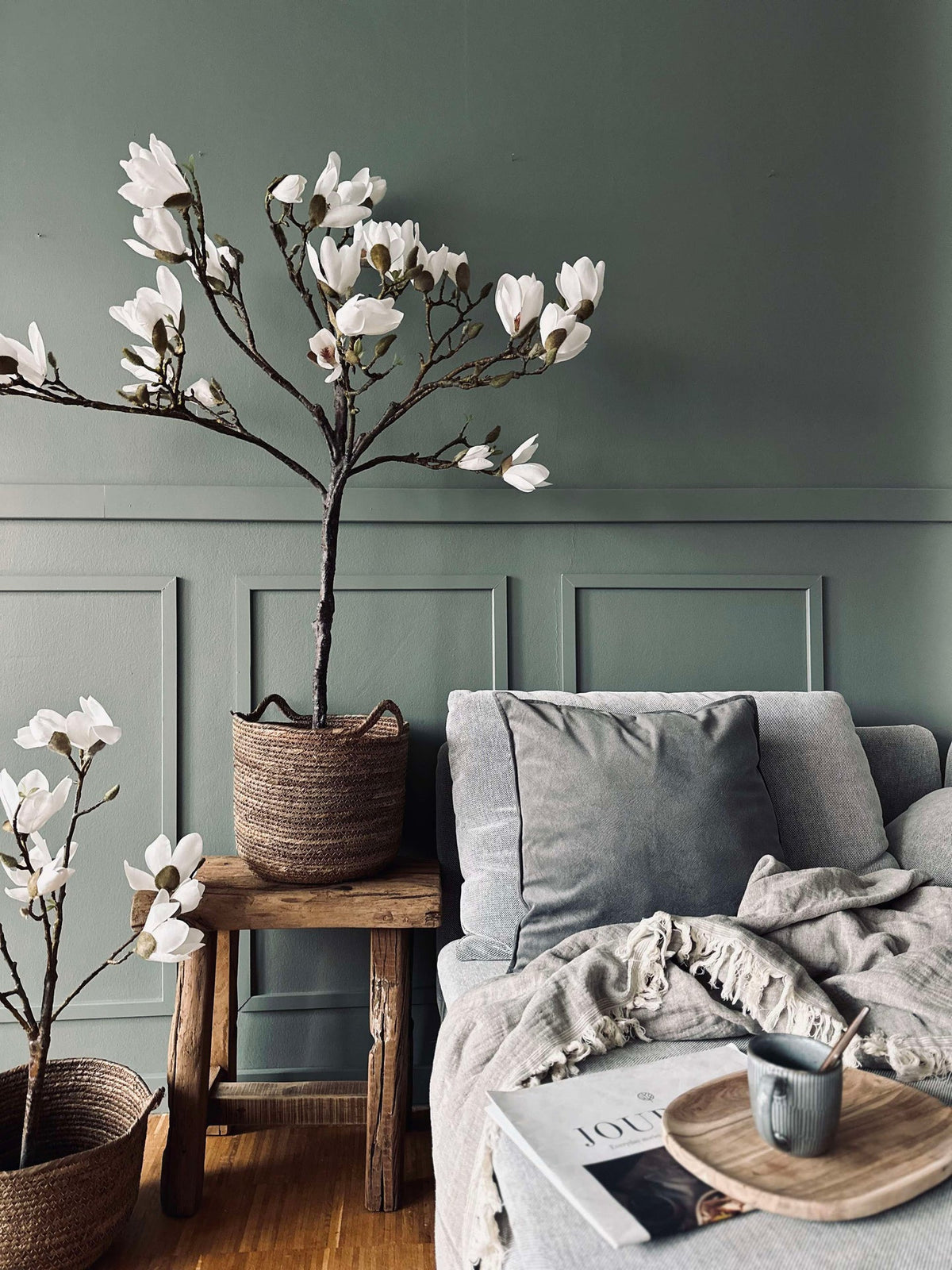 Magnolia en pot - 120 cm Blanc