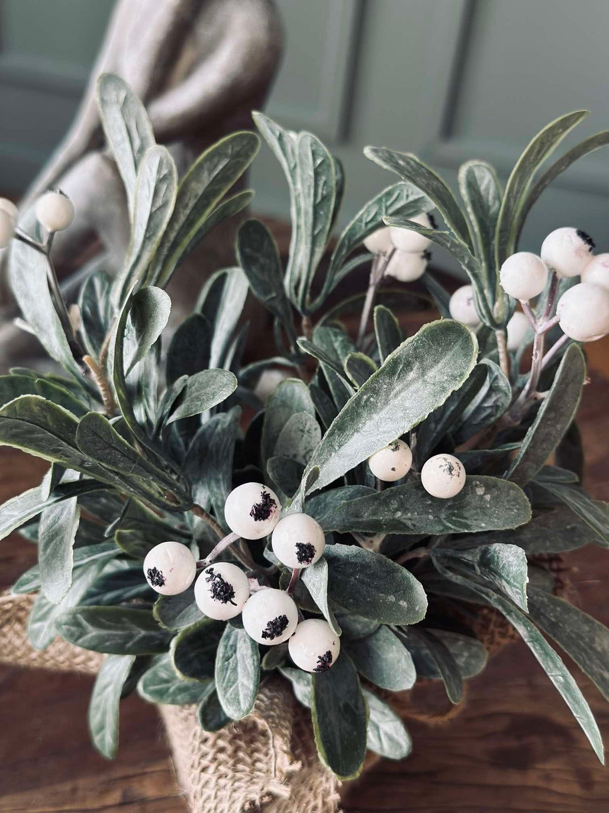 Fleur avec baies neige