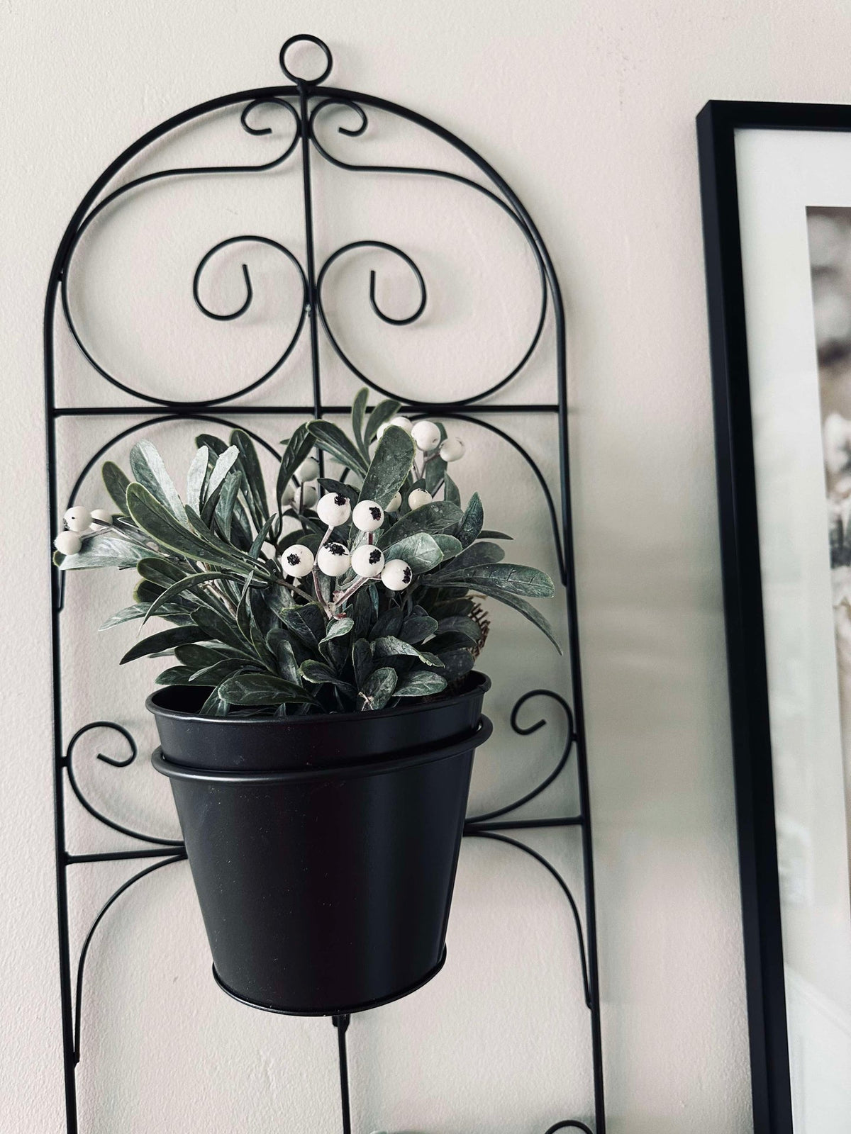Pot - convient pour une suspension murale