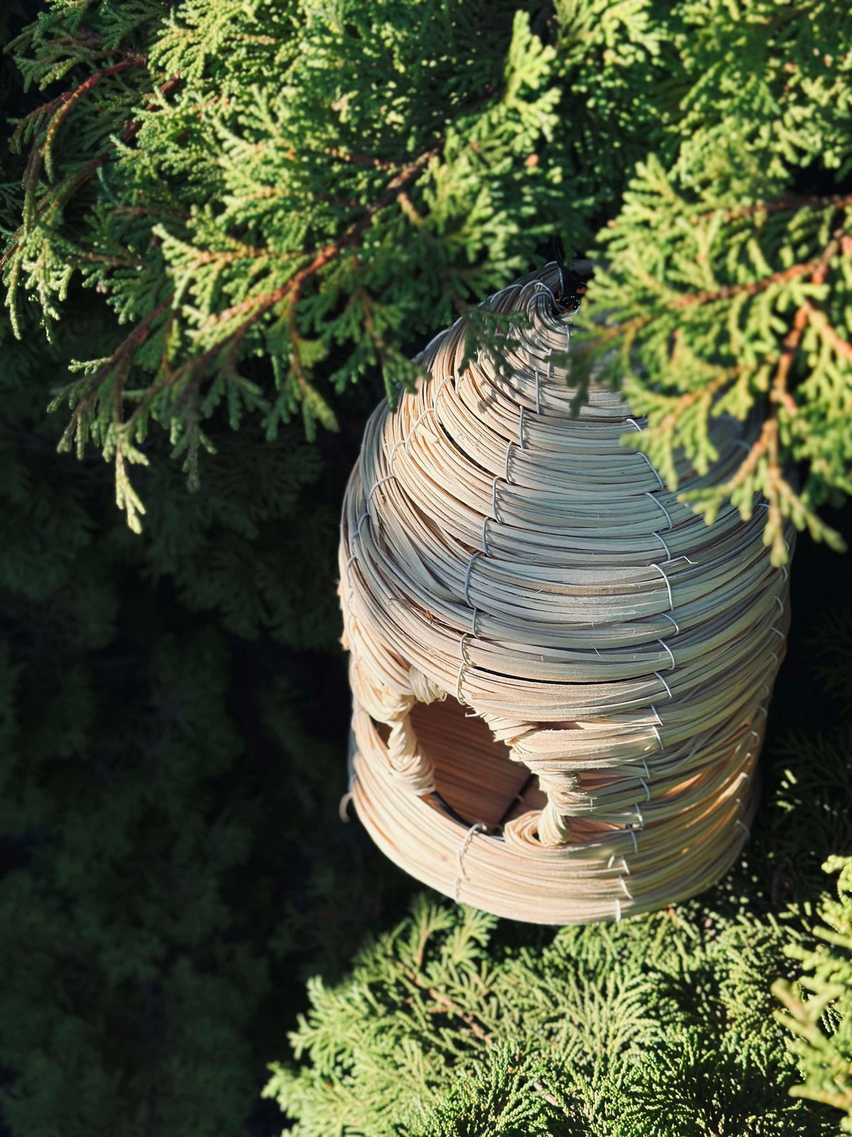 Maison pour oiseaux Nature