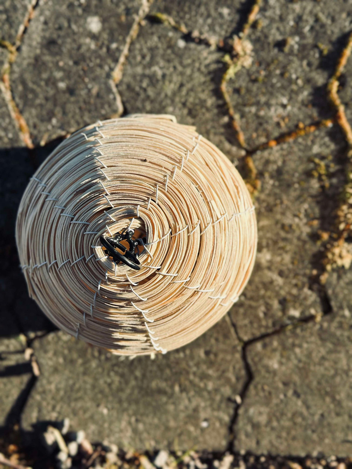 Maison pour oiseaux Nature