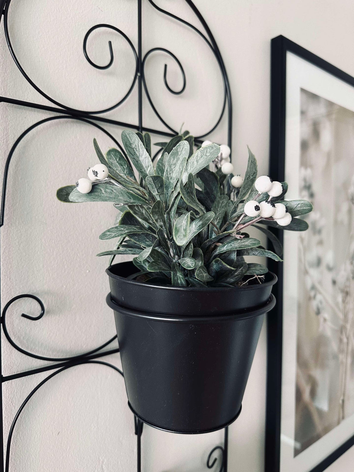 Pot - convient pour une suspension murale