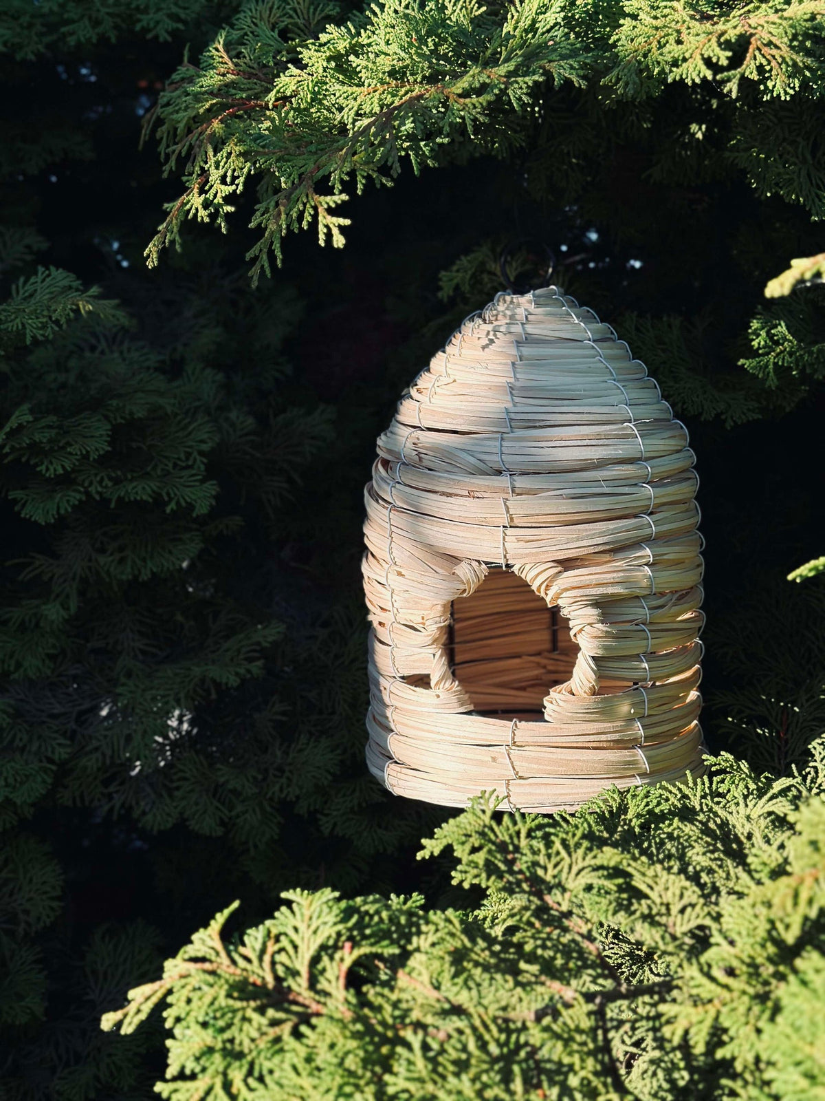 Maison pour oiseaux Nature