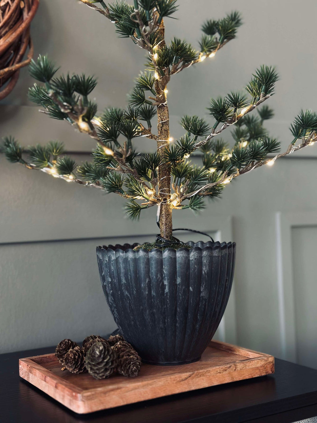 Cèdre avec guirlande lumineuse 65 cm - Sans neige