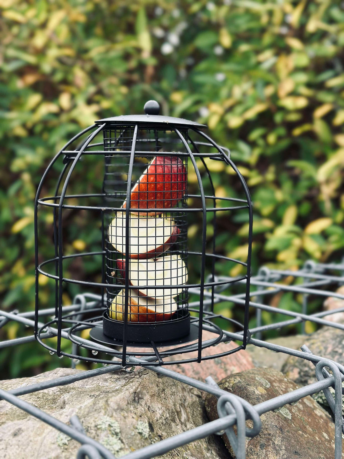 Mangeoire à oiseaux en métal noir