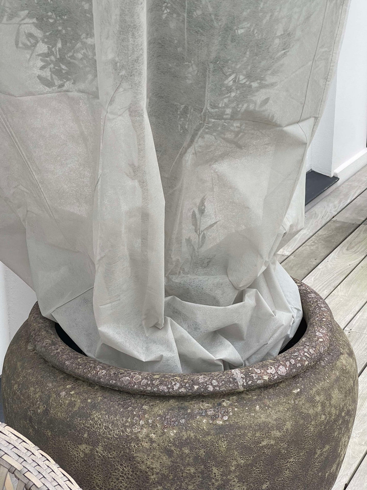 Veste pour plantes grise - Lot de 2