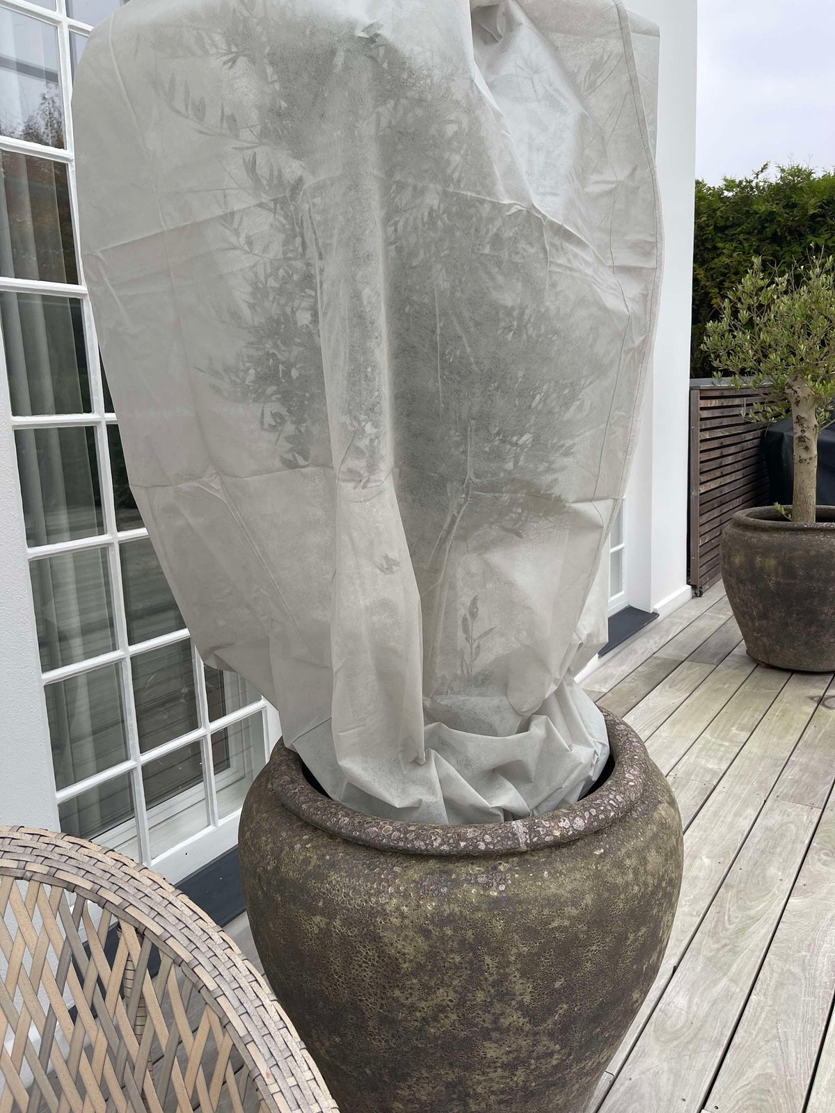 Veste pour plantes grise - Lot de 2