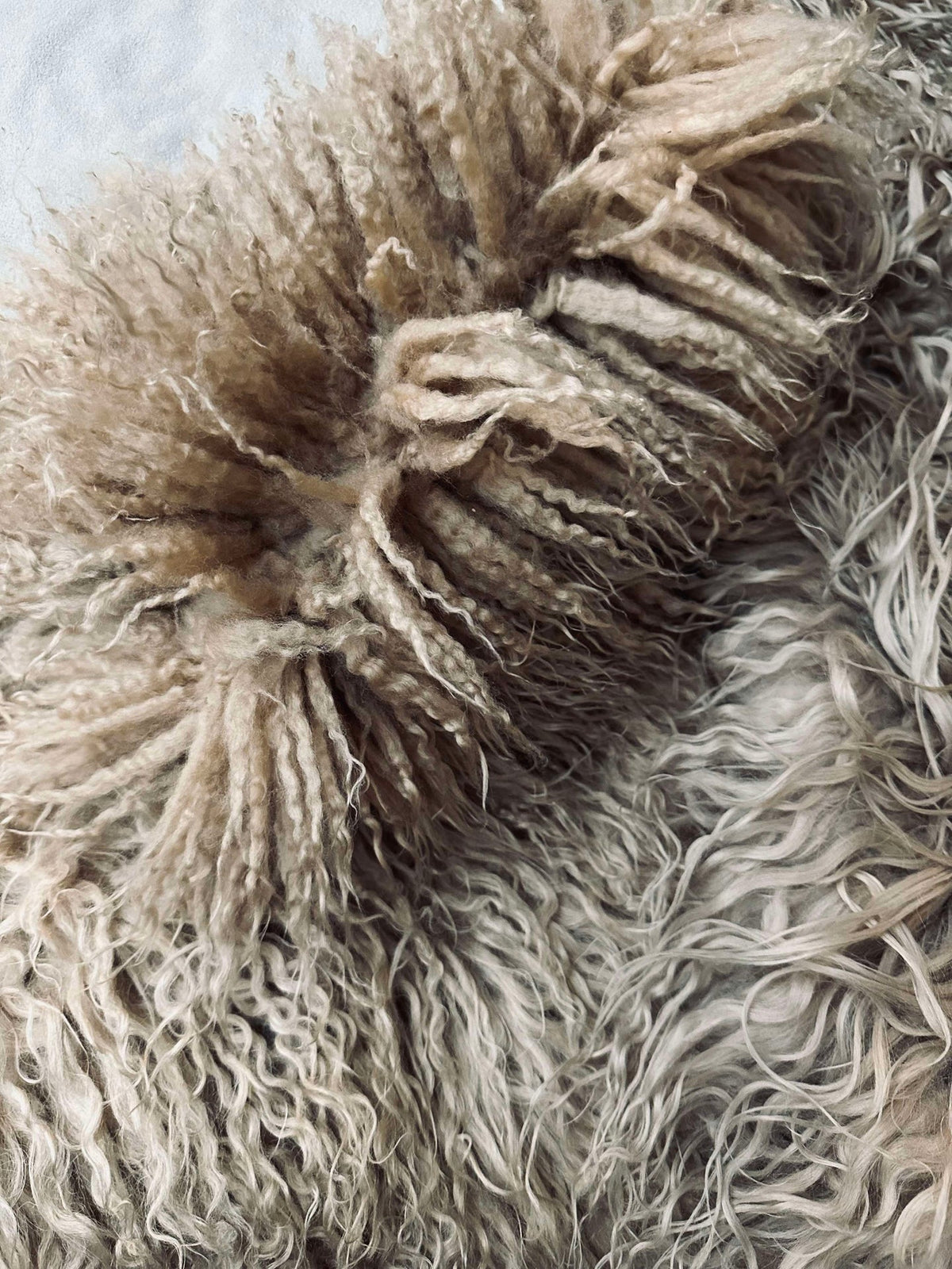 Peau de mouton islandais – Moccachino Extra longue