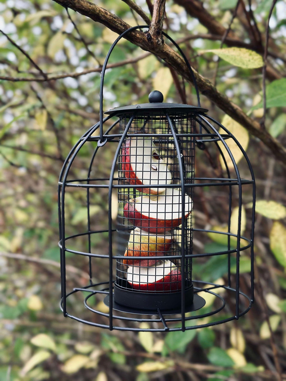 Mangeoire à oiseaux en métal noir