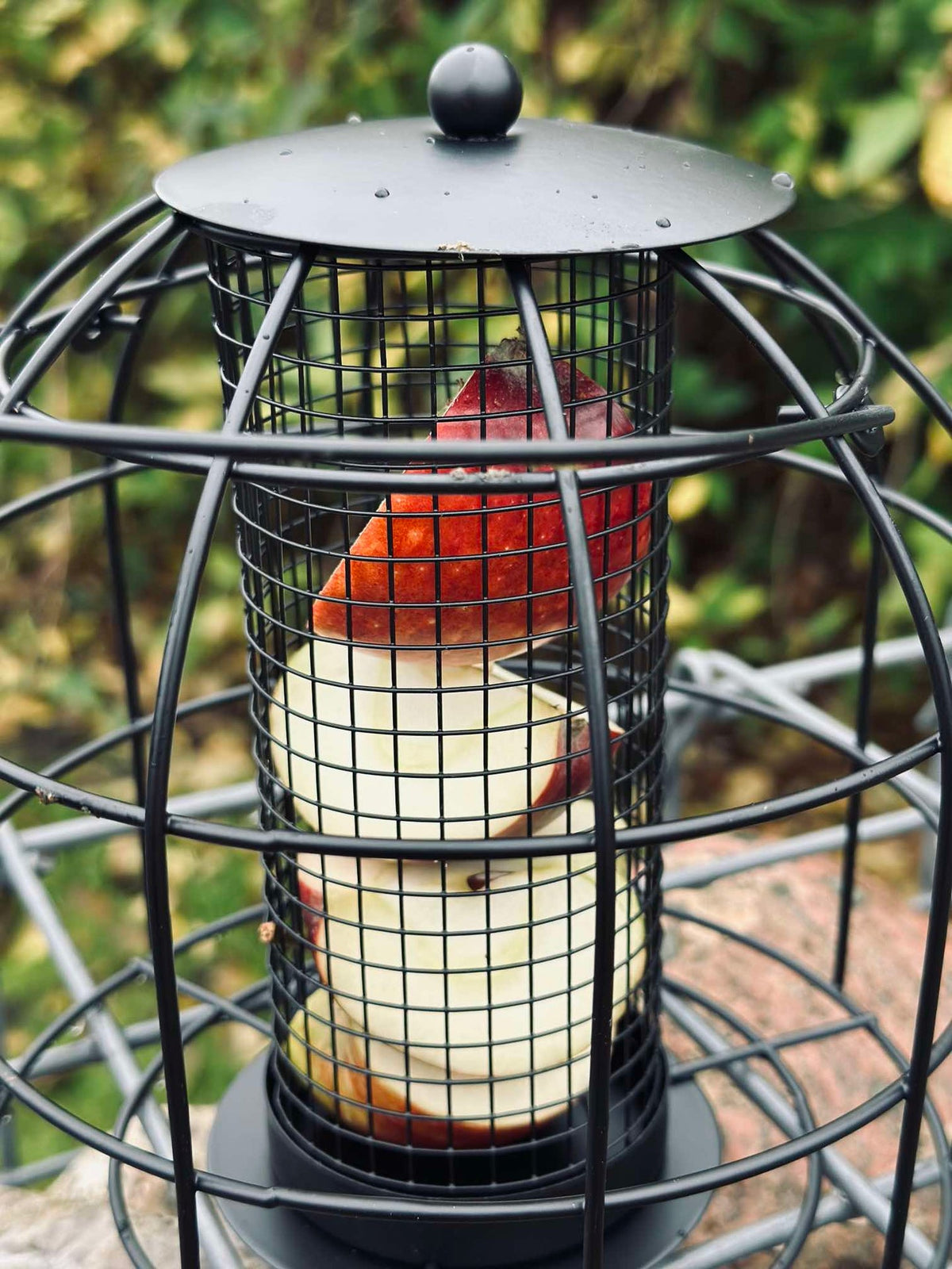 Mangeoire à oiseaux en métal noir