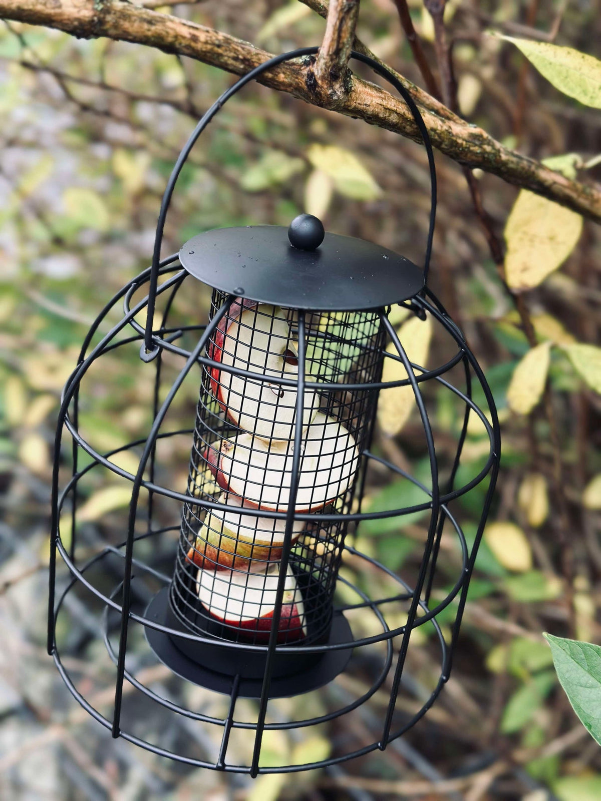 Mangeoire à oiseaux en métal noir