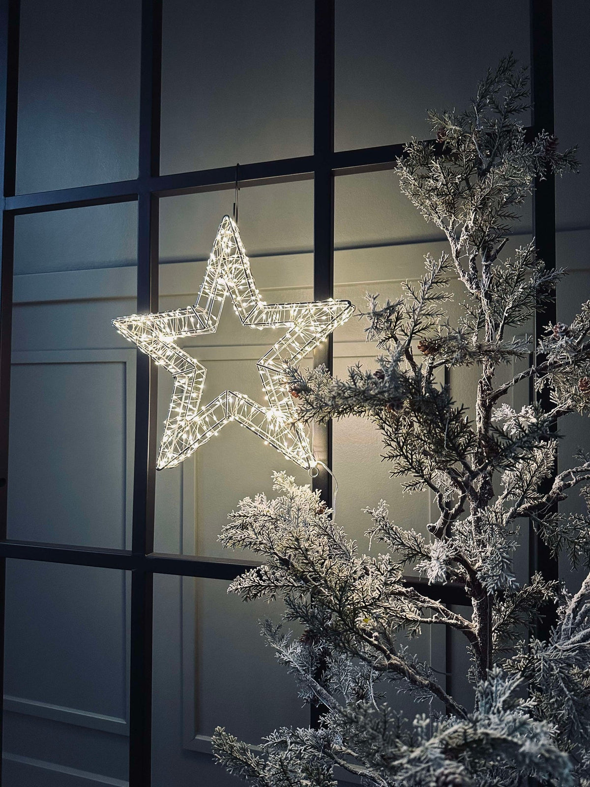 Étoile avec lumière LED - Homologuée pour intérieur et extérieur