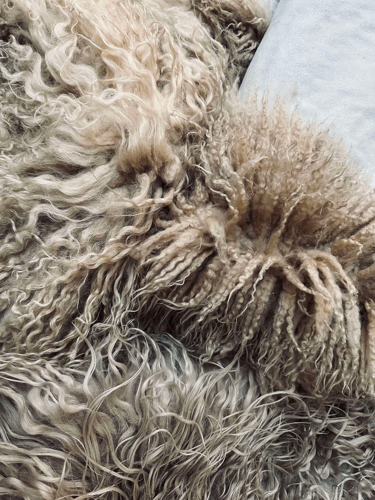 Peau de mouton islandais – Moccachino Extra longue