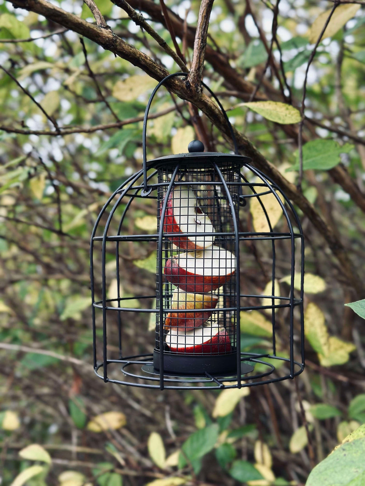 Mangeoire à oiseaux en métal noir