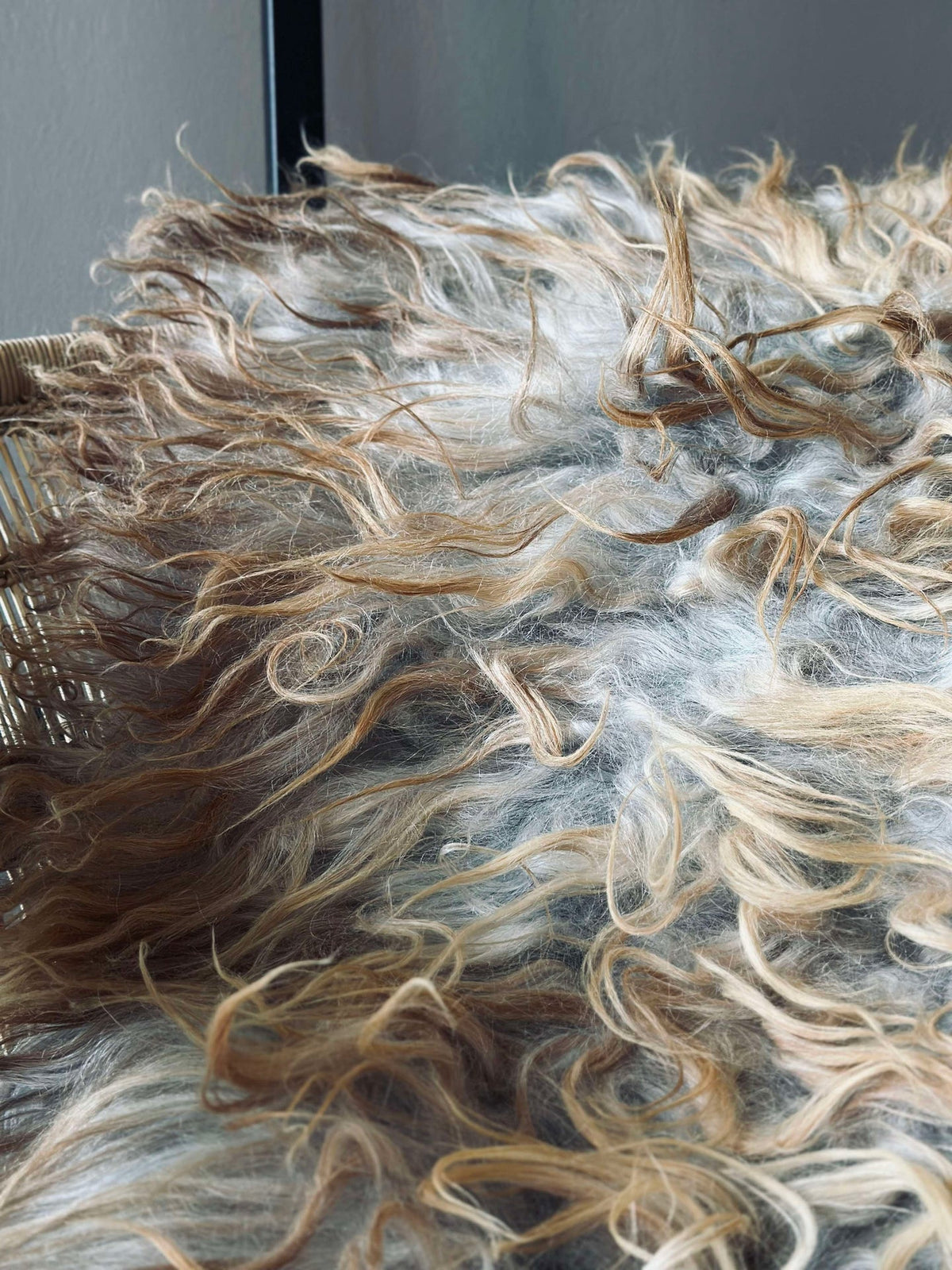 Peau de mouton gotlandaise dans une couleur unique