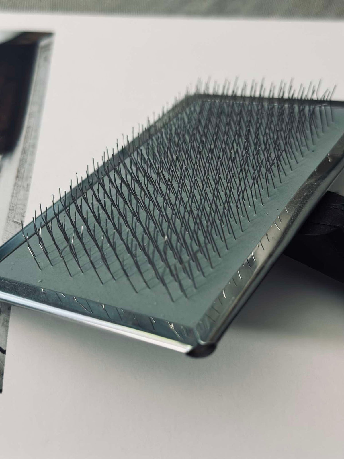 Brosse pour peau d’agneau - Carde métallique