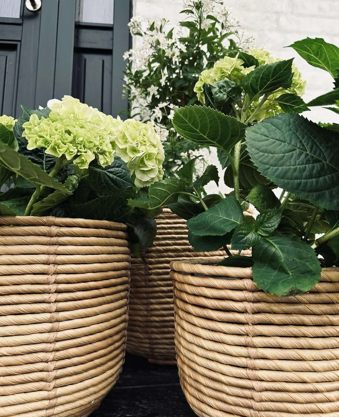 Paniers à plantes RATTAN BIG - Lot de 3 tailles