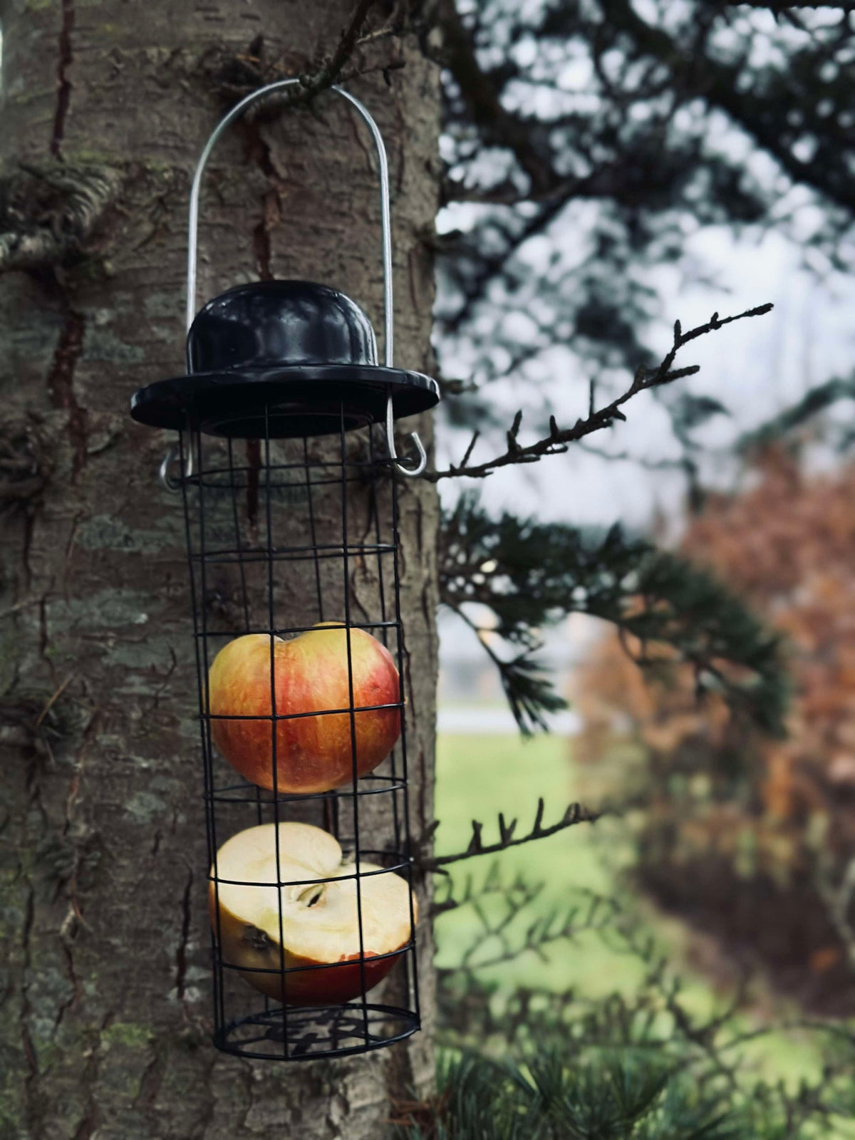 Support pour nourriture des oiseaux pour boules de maïs