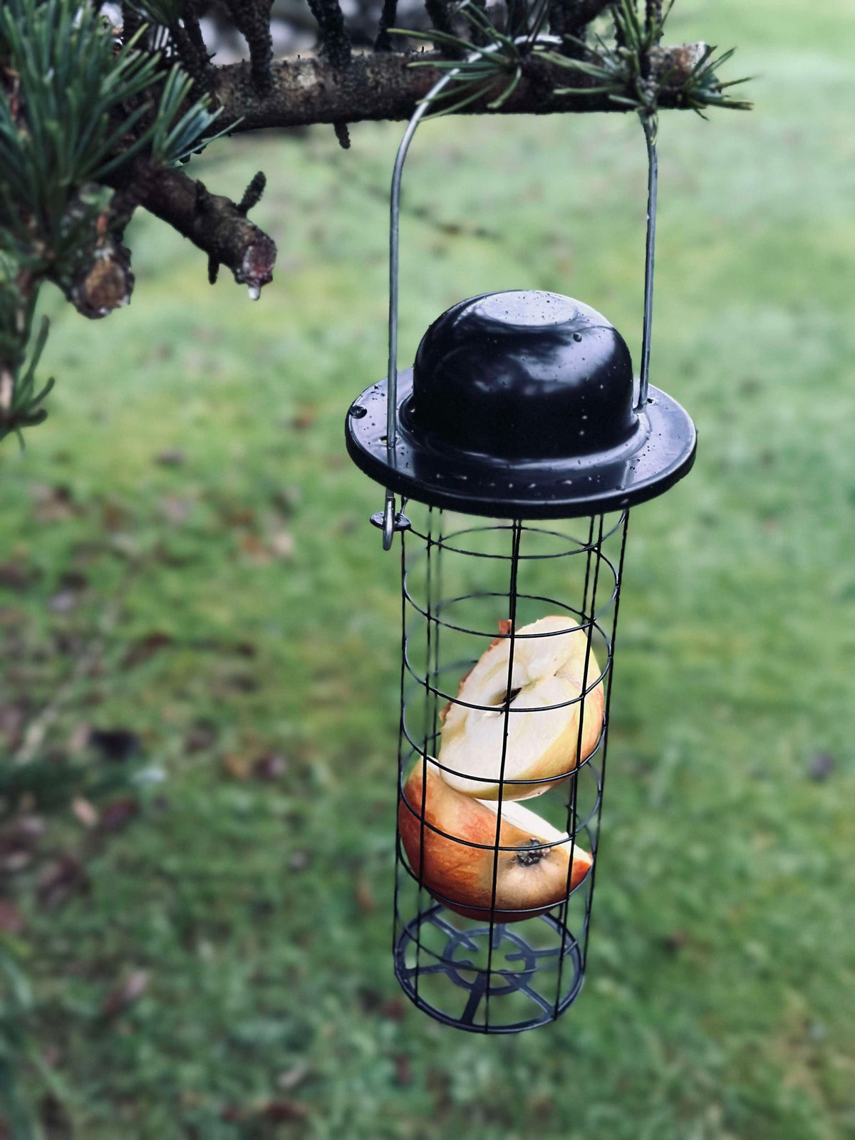 Support pour nourriture des oiseaux pour boules de maïs