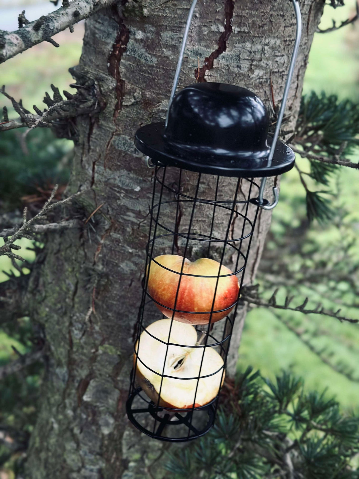Support pour nourriture des oiseaux pour boules de maïs