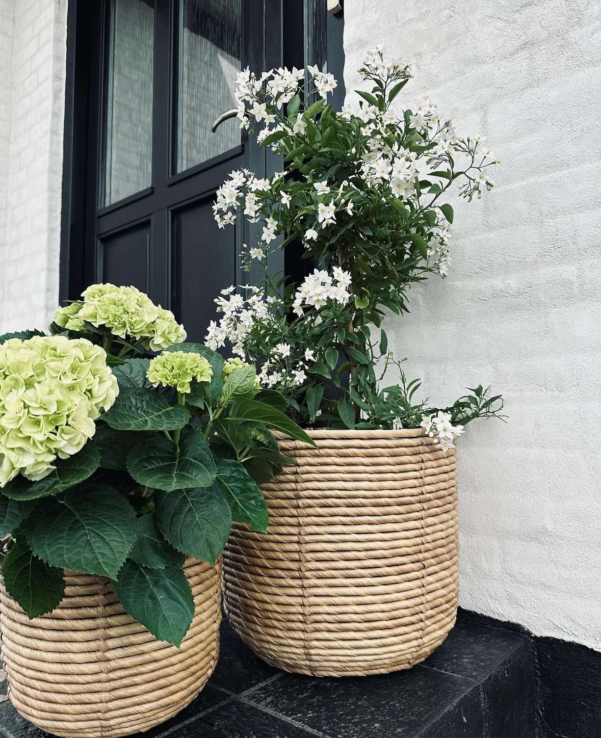 Paniers à plantes RATTAN – Lot de 3 tailles