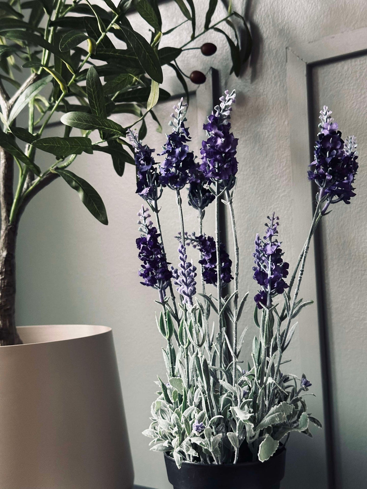 Lavande 40cm - Violet foncé