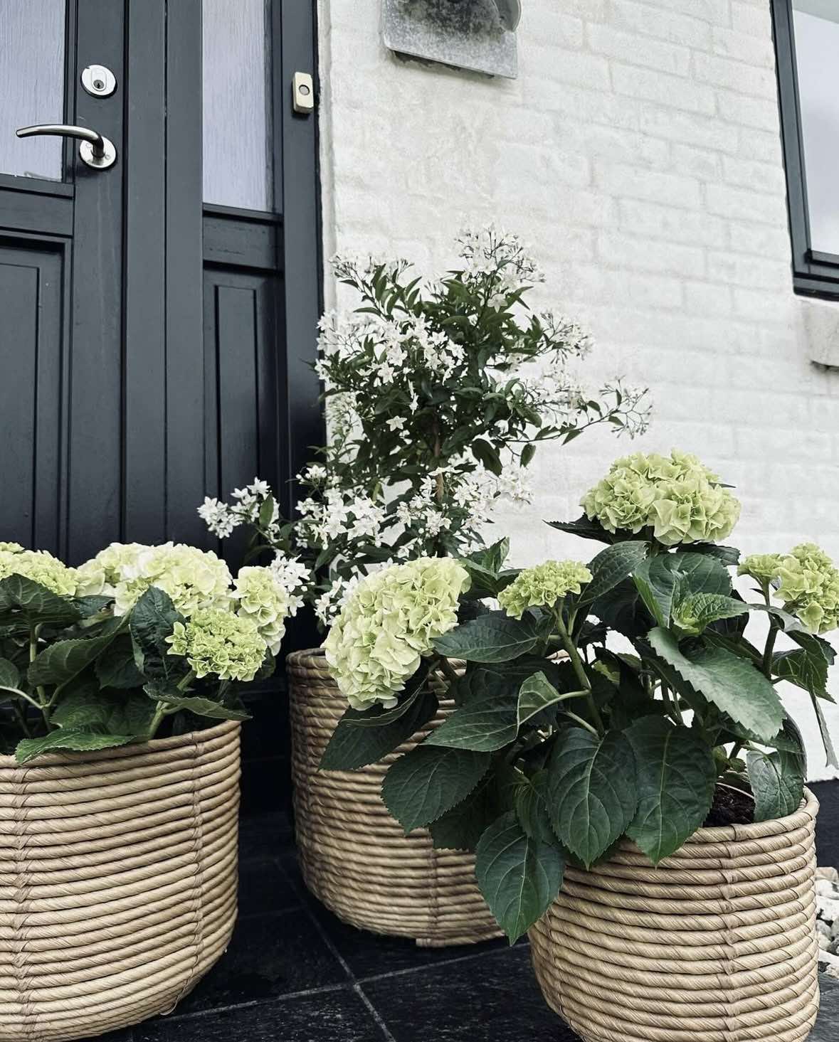 Paniers à plantes RATTAN BIG - Lot de 3 tailles