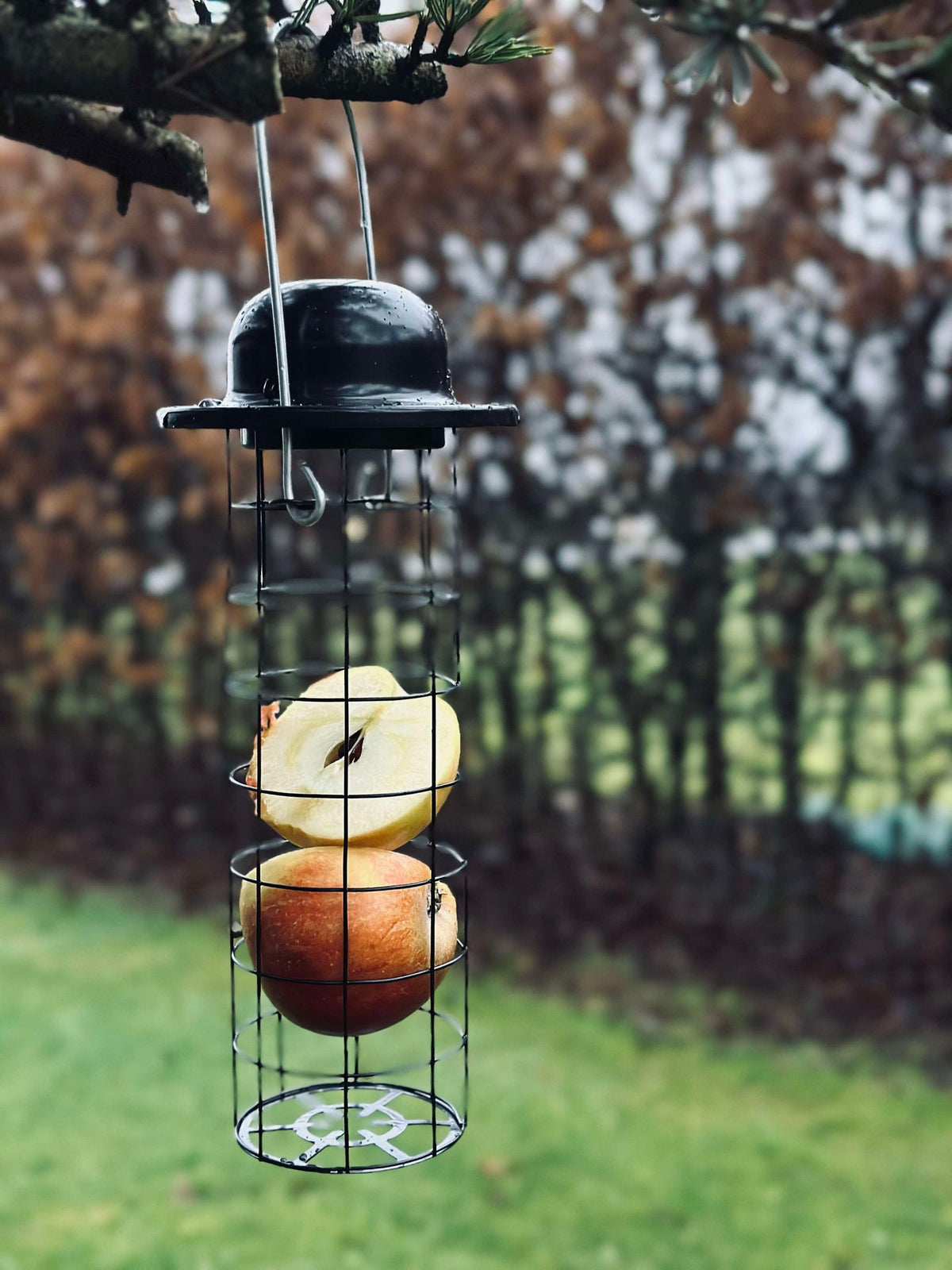 Support pour nourriture des oiseaux pour boules de maïs