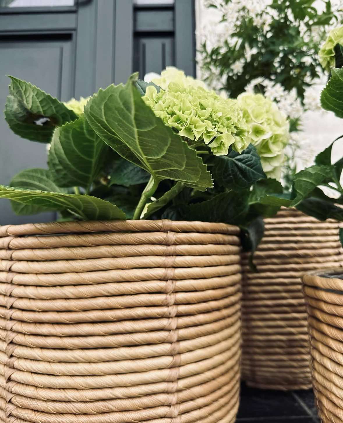 Paniers à plantes RATTAN BIG - Lot de 3 tailles