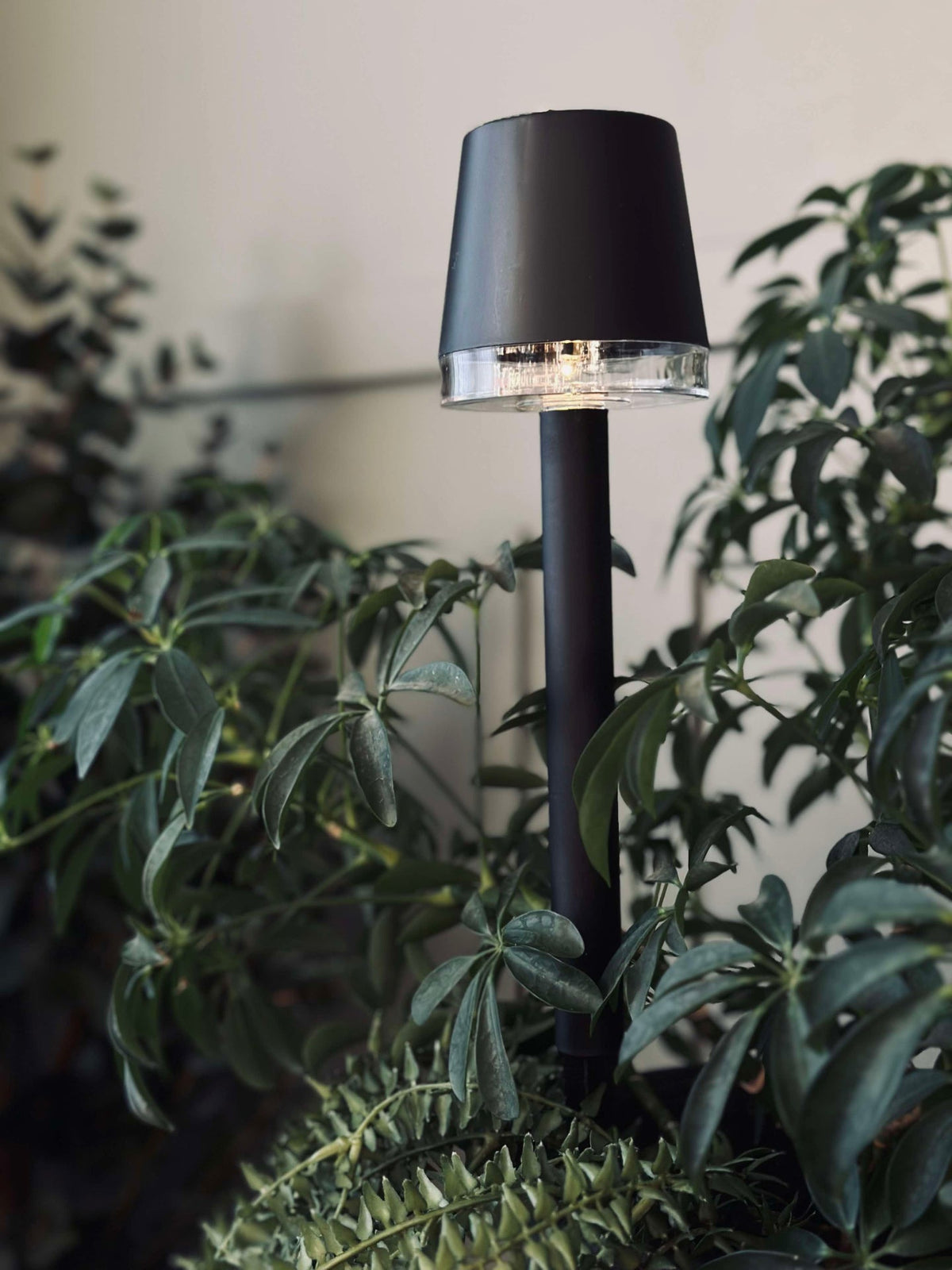 Lampe de jardin KIA solar