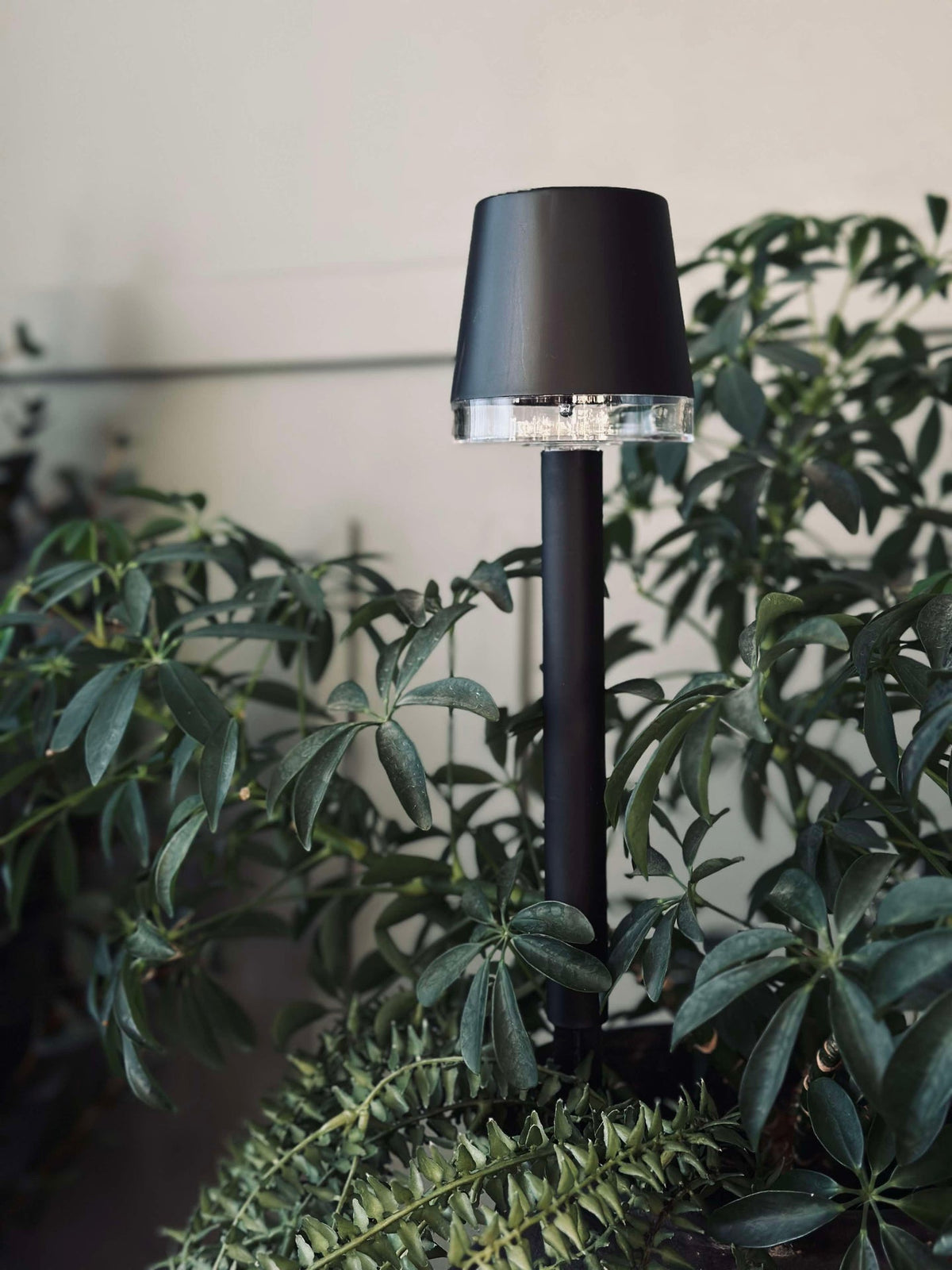 Lampe de jardin KIA solar