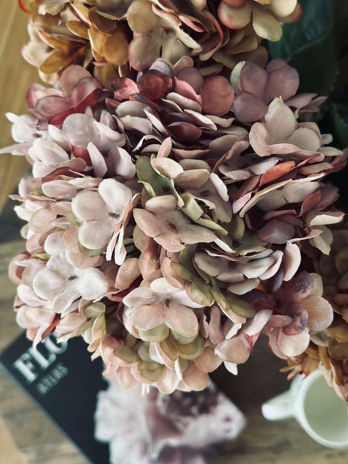 Hortensia Old Rose