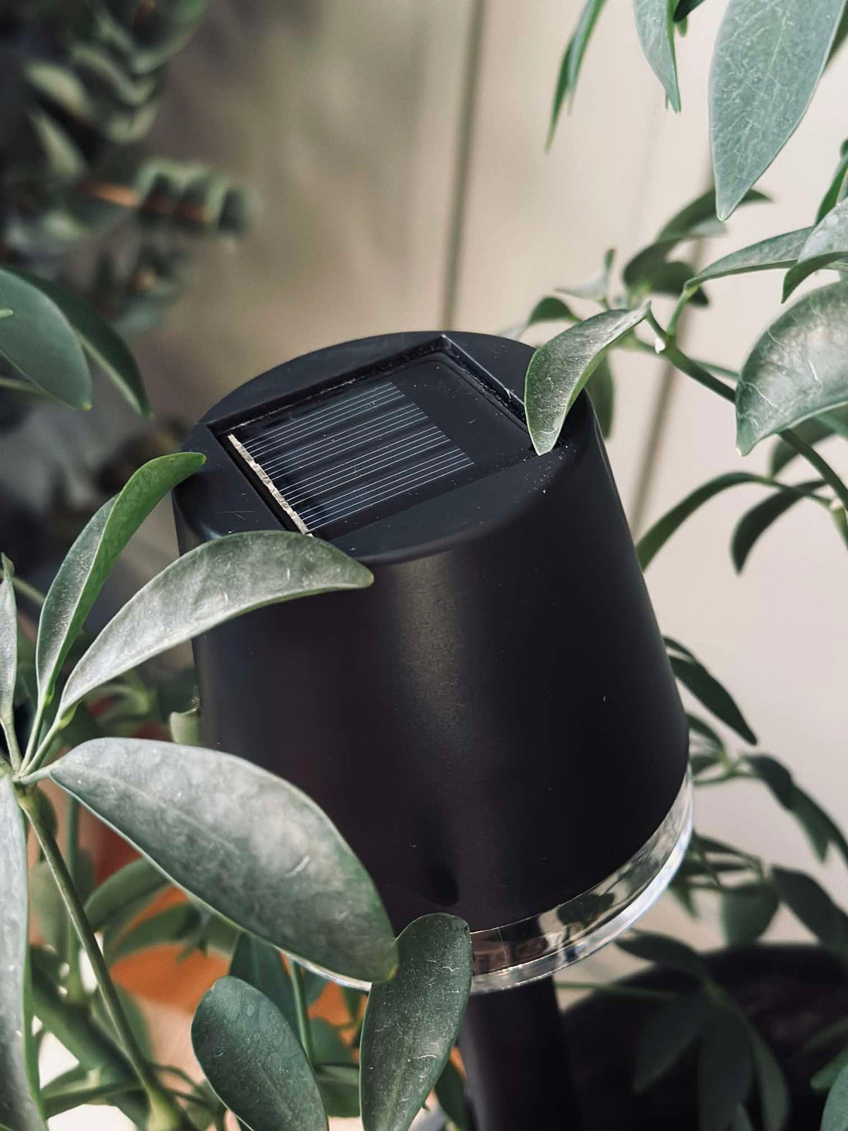 Lampe de jardin KIA solar