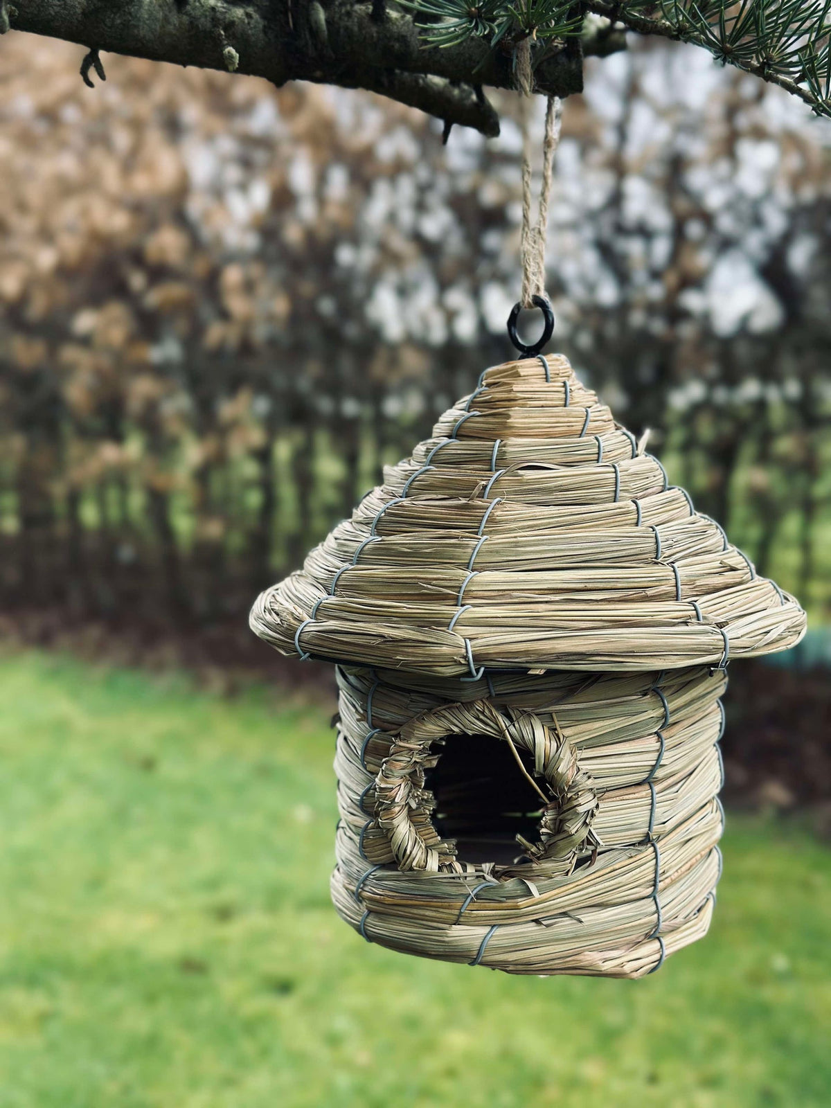 Maison pour oiseaux avec suspension