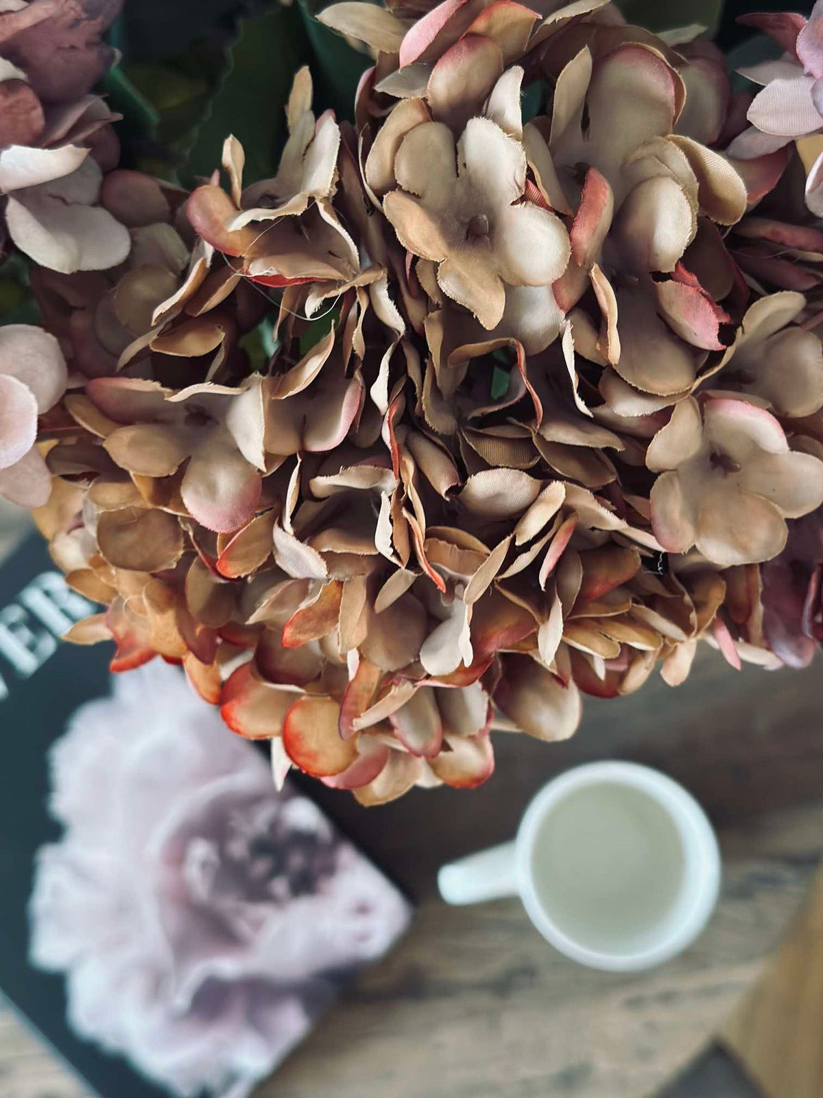 Hortensia - Couleurs brûlées