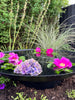 Bassin miroir - Dia 80 Black