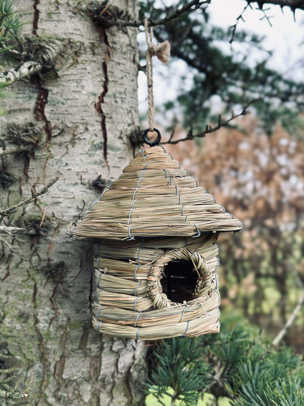 Maison pour oiseaux avec suspension