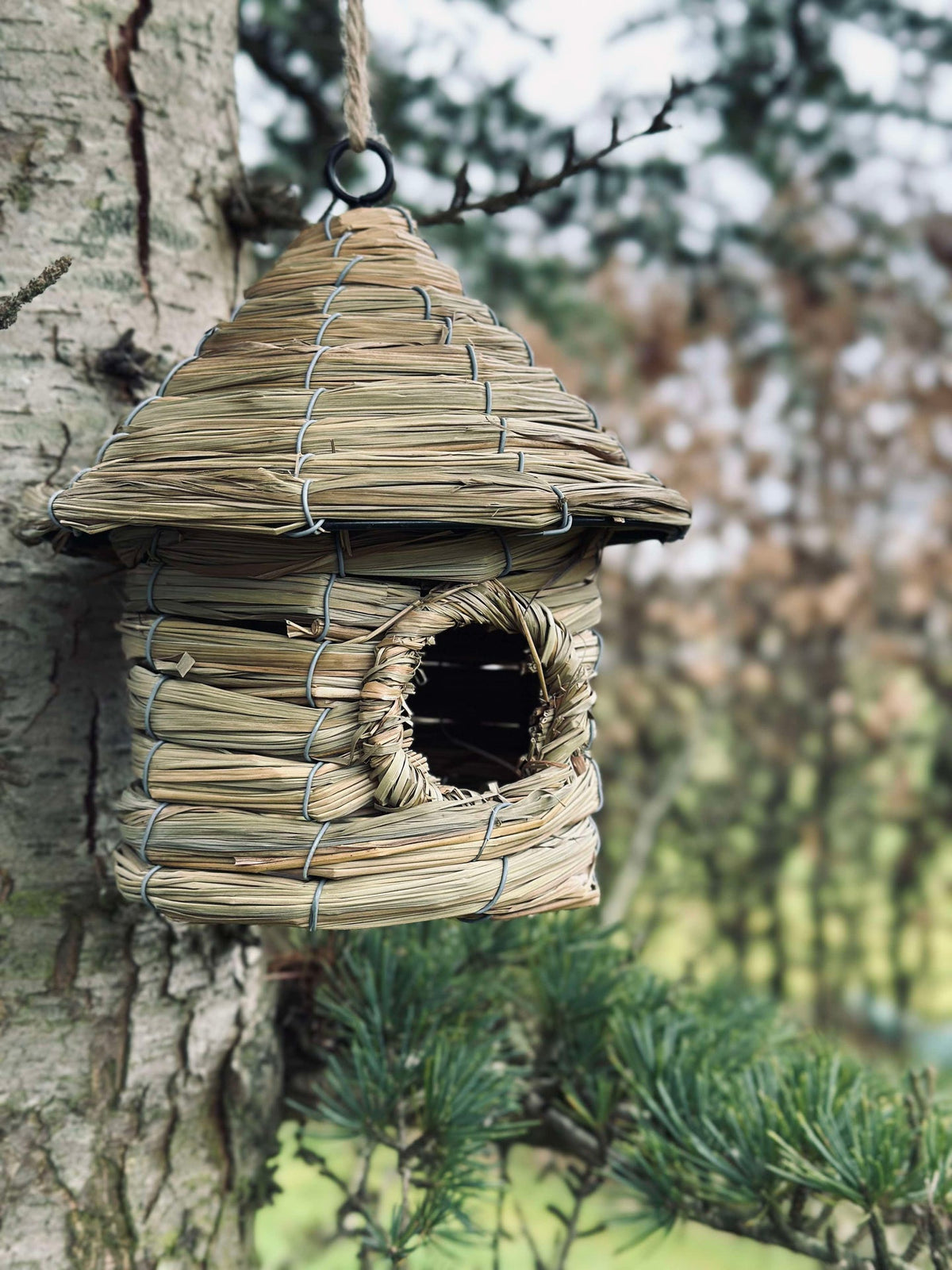 Maison pour oiseaux avec suspension