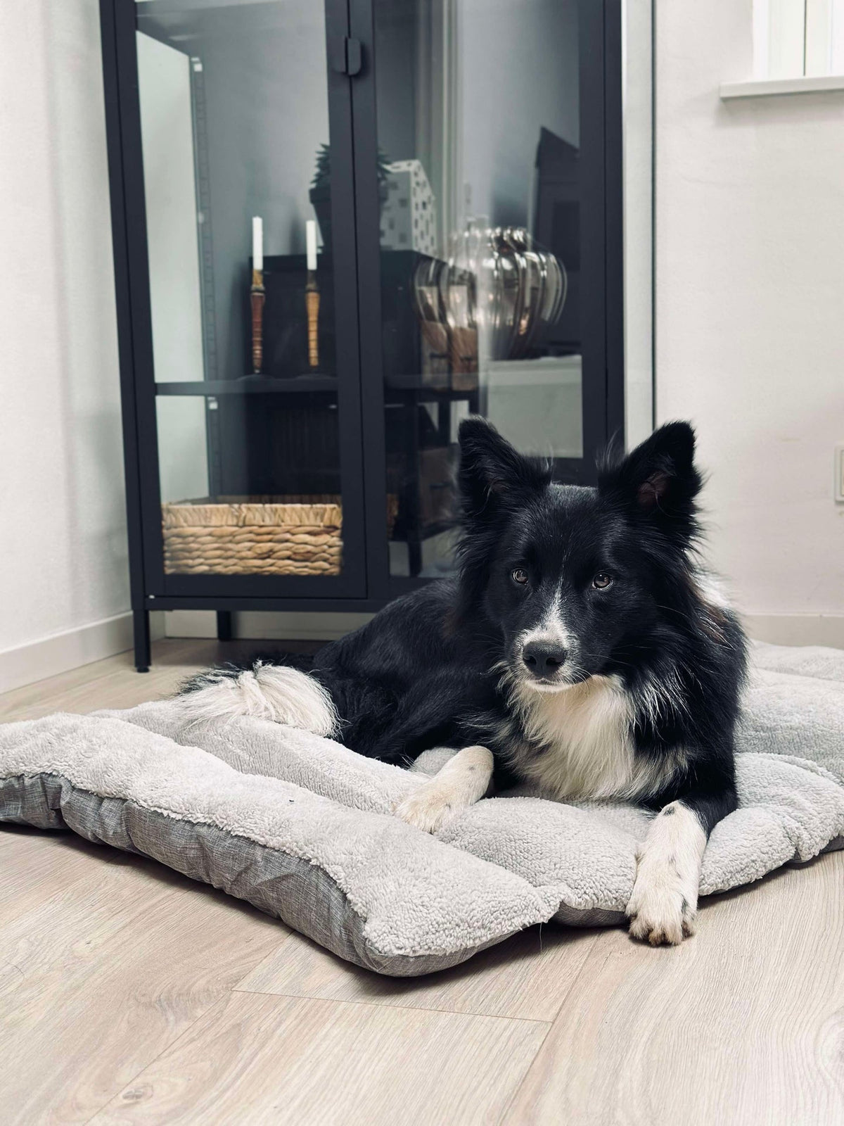 Coussin pour animal de compagnie - Déperlant