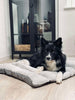 Coussin pour animal de compagnie - Déperlant