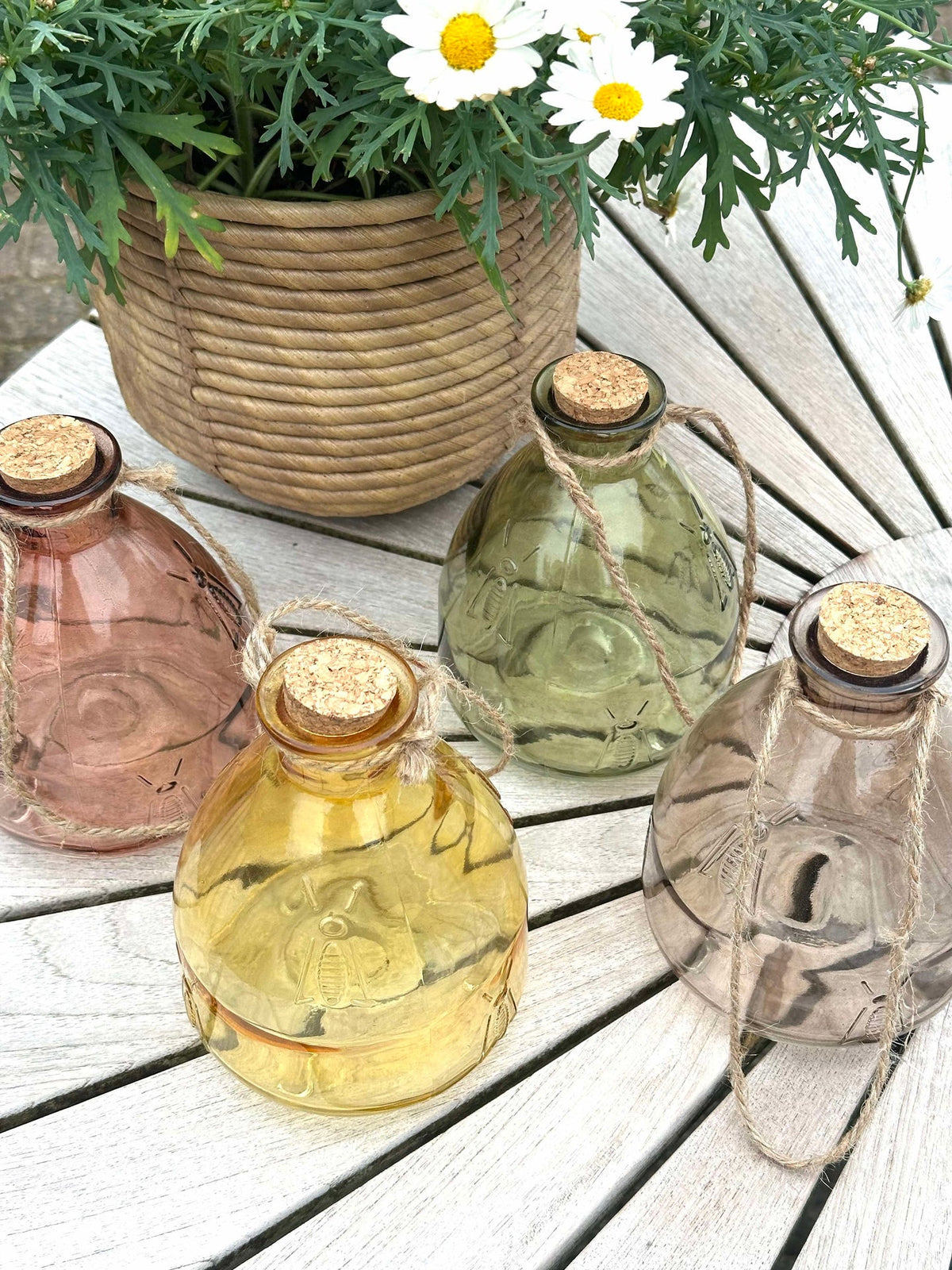 Piège à guêpes BIG  – assortiment