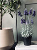 Lavande 40cm - Violet foncé