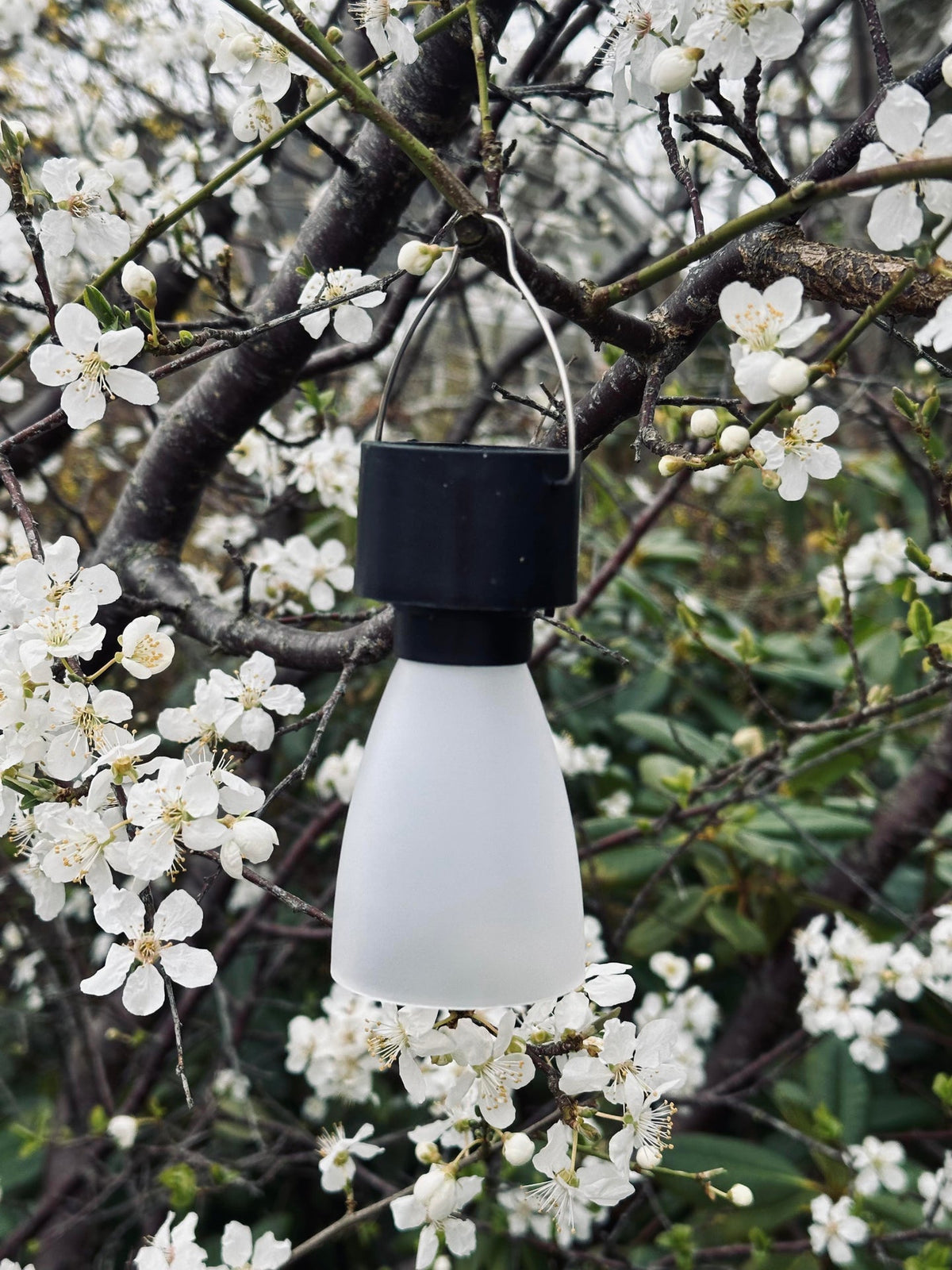 Mini lampe solaire